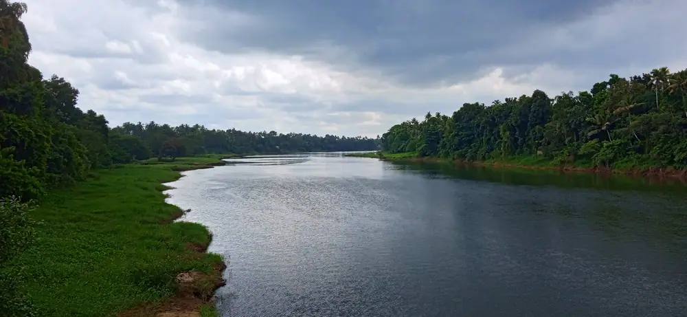 The Chalakudy river between wooded banks, Thrissur district